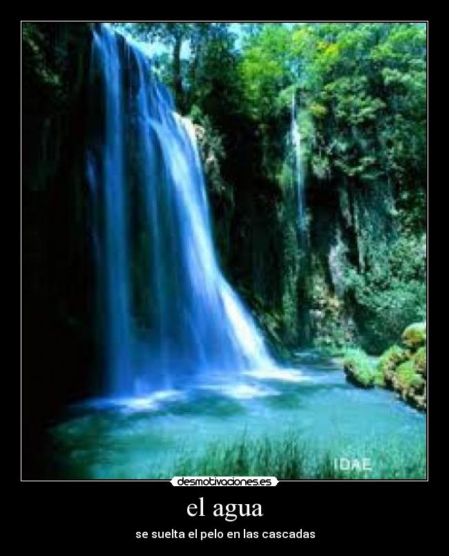 el agua - 