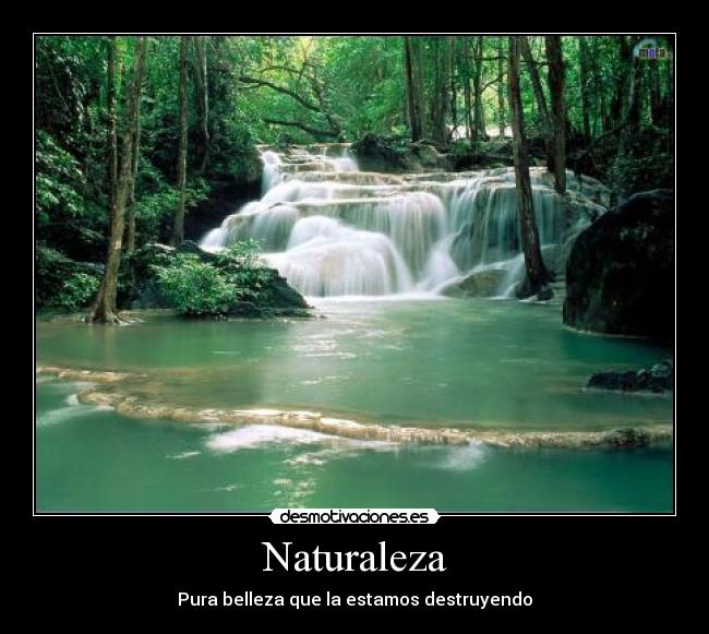 Naturaleza - 