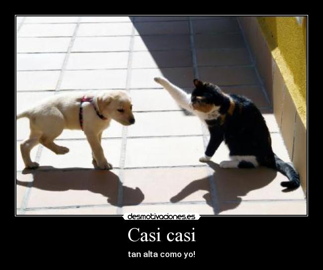 Casi casi - tan alta como yo!