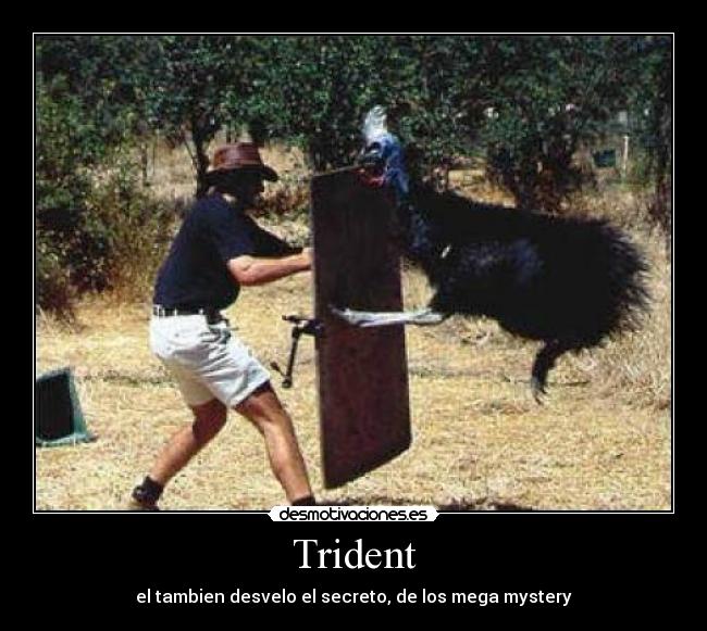Trident - el tambien desvelo el secreto, de los mega mystery