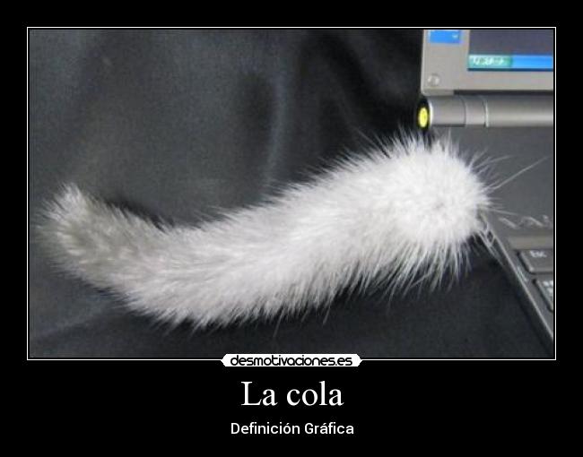 La cola - Definición Gráfica