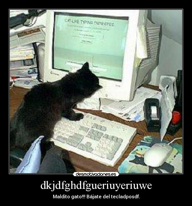 dkjdfghdfgueriuyeriuwe - 