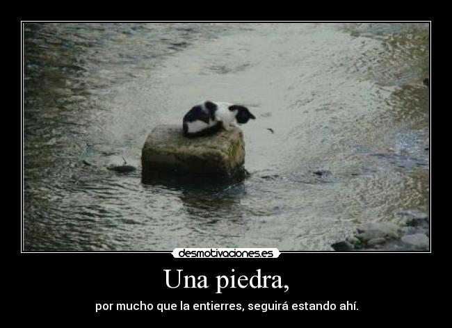 Una piedra, - por mucho que la entierres, seguirá estando ahí.