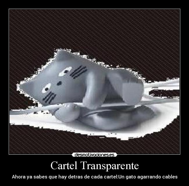 Cartel Transparente - 