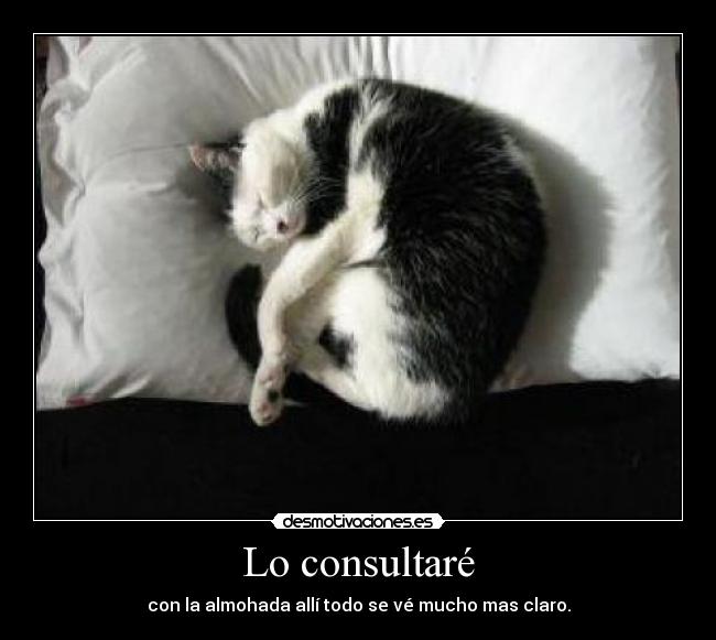 Lo consultaré -