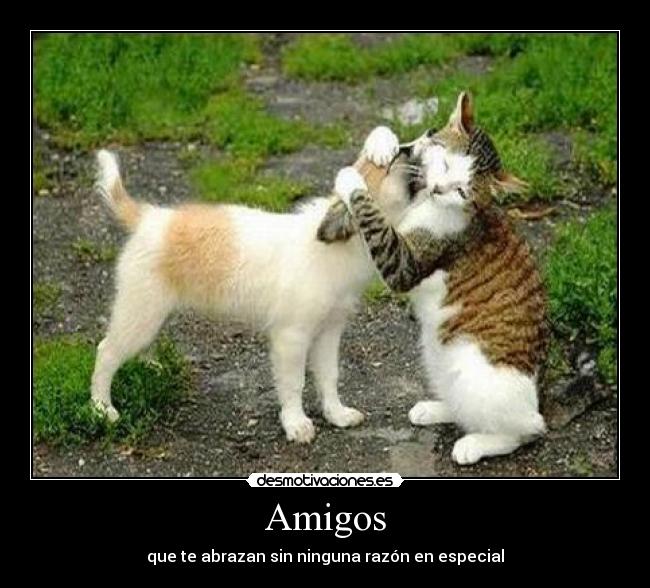 Amigos - que te abrazan sin ninguna razón en especial