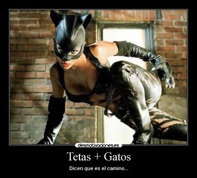Tetas + Gatos - 
