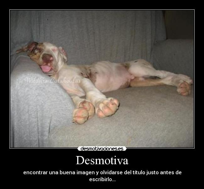 Desmotiva - encontrar una buena imagen y olvidarse del título justo antes de escribirlo...