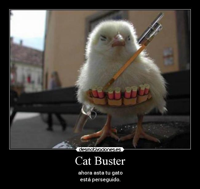 Cat Buster - 