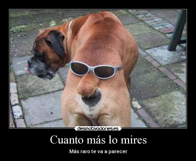 Cuanto más lo mires -