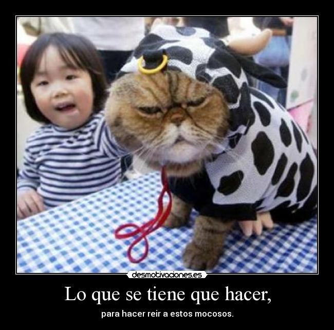 Lo que se tiene que hacer, -