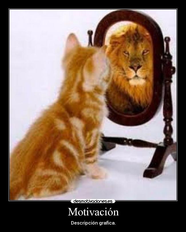 Motivación - Descripción grafica.