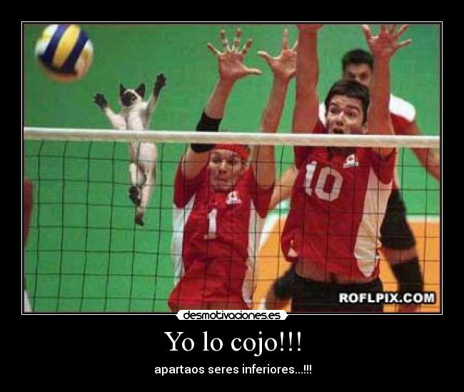 Yo lo cojo!!! -
