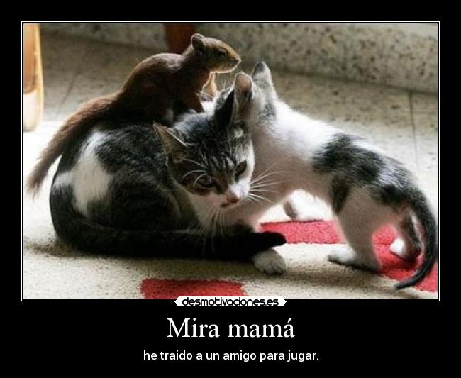 Mira mamá - 