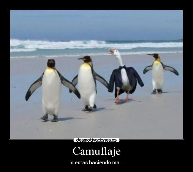 Camuflaje - lo estas haciendo mal...