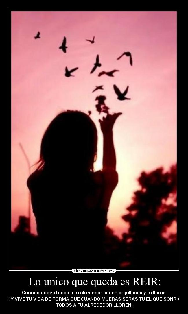 carteles tyhhghghgh desmotivaciones