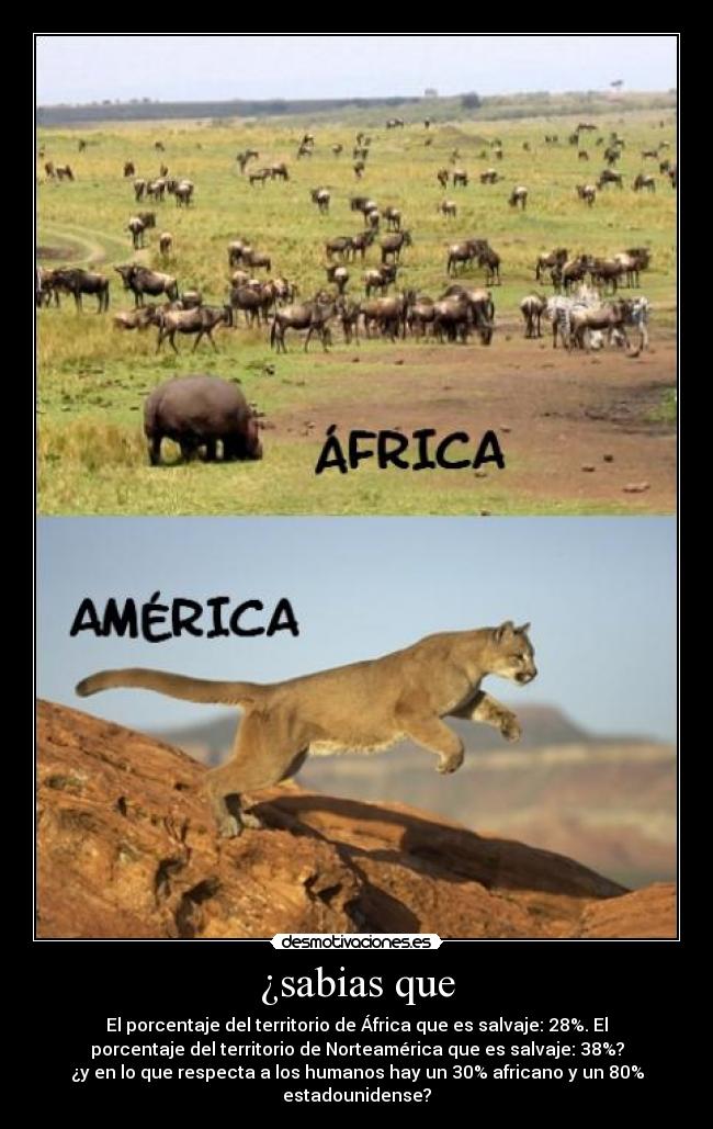 ¿sabias que - El porcentaje del territorio de África que es salvaje: 28%. El
porcentaje del territorio de Norteamérica que es salvaje: 38%?
¿y en lo que respecta a los humanos hay un 30% africano y un 80%
estadounidense?