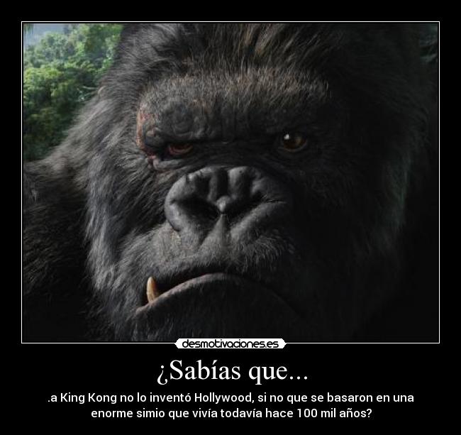 ¿Sabías que... - 