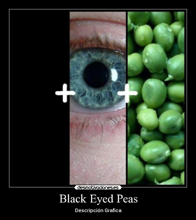 Black Eyed Peas - Descripción Grafica
