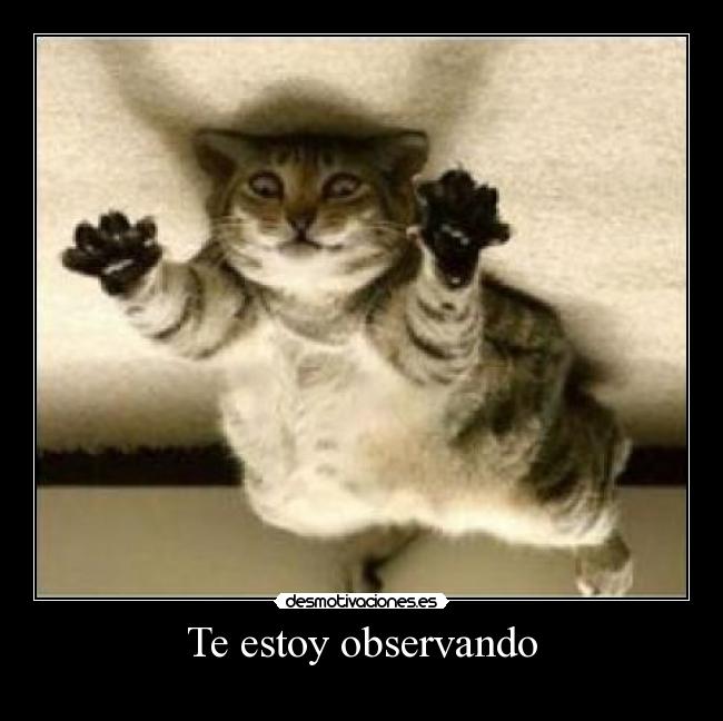 Te estoy observando -
