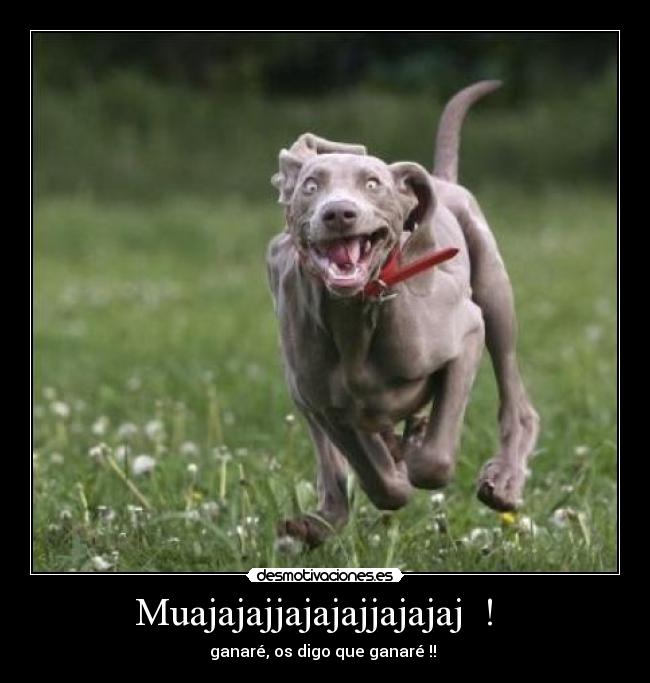 Muajajajjajajajjajajaj  !   - ganaré, os digo que ganaré !! 