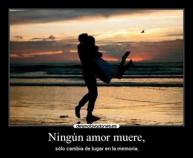 Ningún amor muere, - sólo cambia de lugar en la memoria.