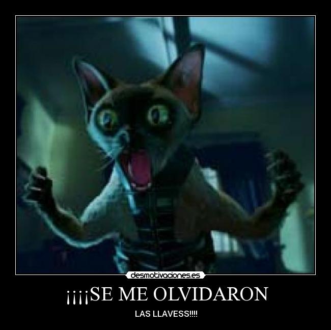 ¡¡¡¡SE ME OLVIDARON - LAS LLAVESS!!!!