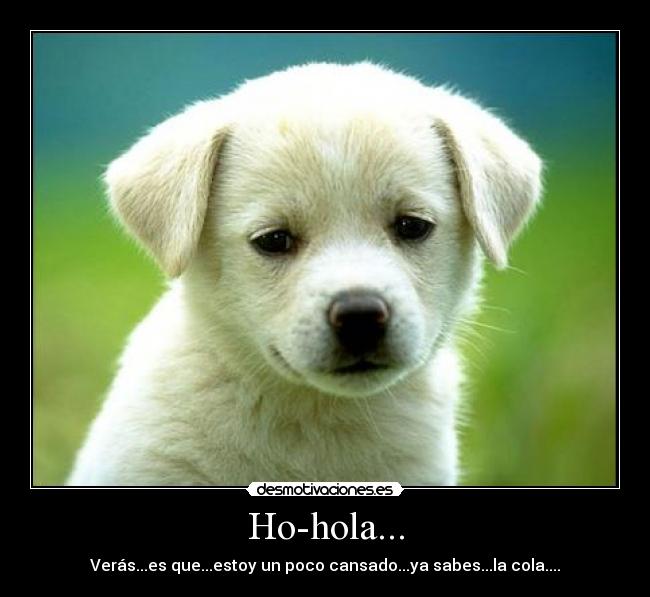 Ho-hola... -