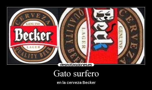 Gato surfero - en la cerveza Becker