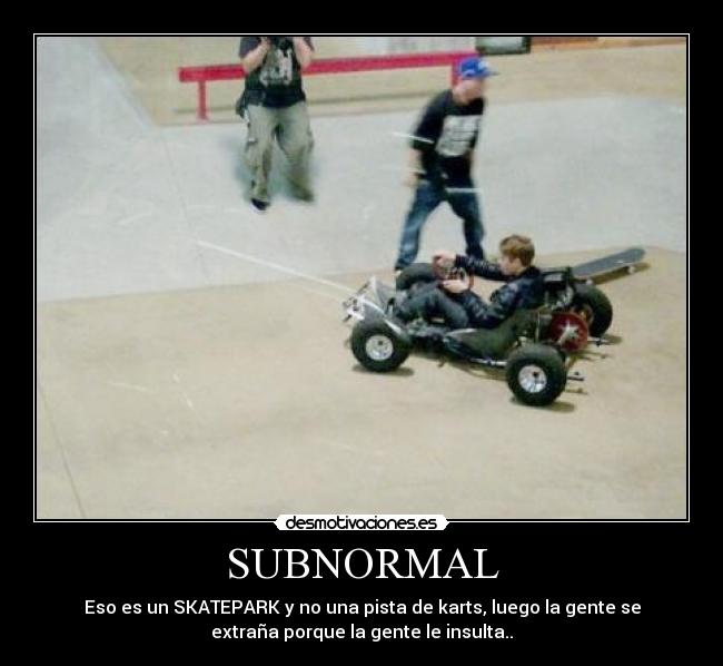 SUBNORMAL - Eso es un SKATEPARK y no una pista de karts, luego la gente se
extraña porque la gente le insulta..