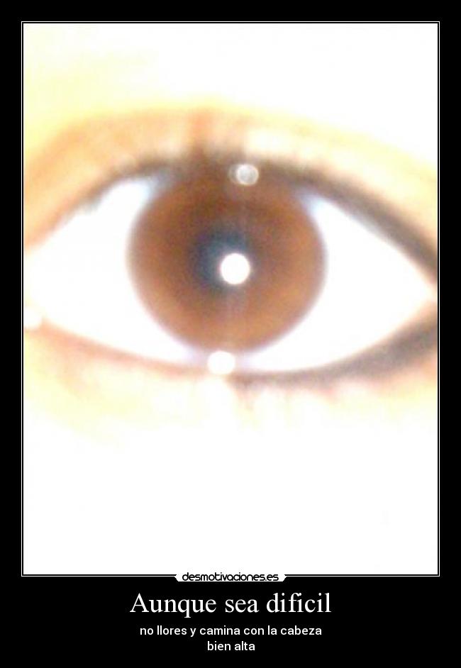 carteles llores desmotivaciones