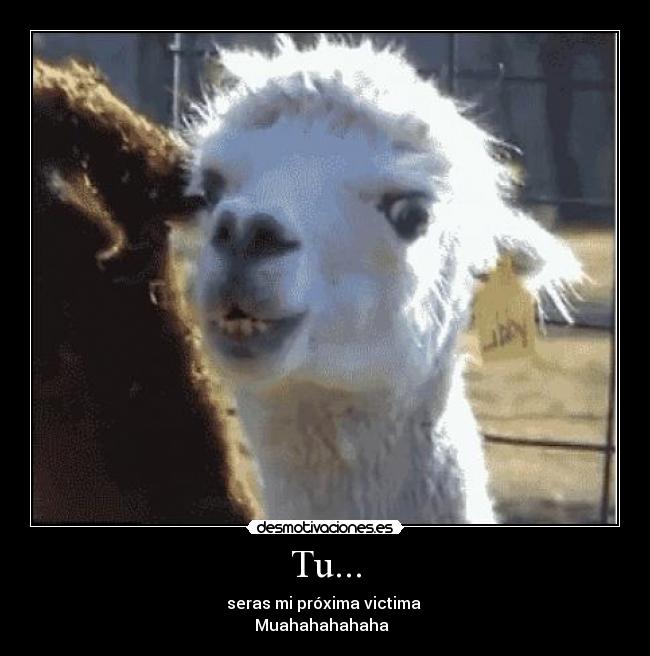 carteles desmotivaciones