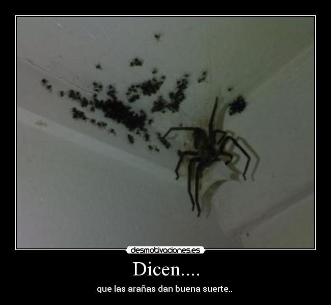 Dicen.... -