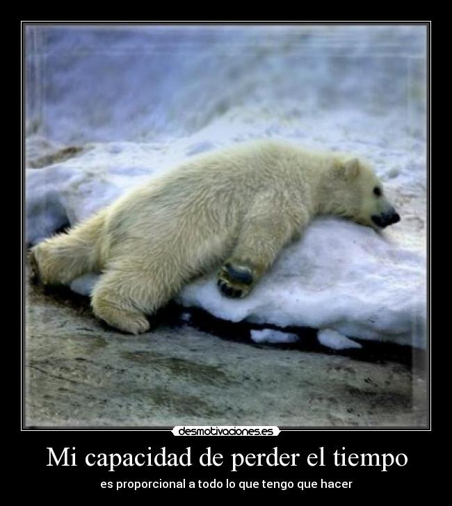 Mi capacidad de perder el tiempo -