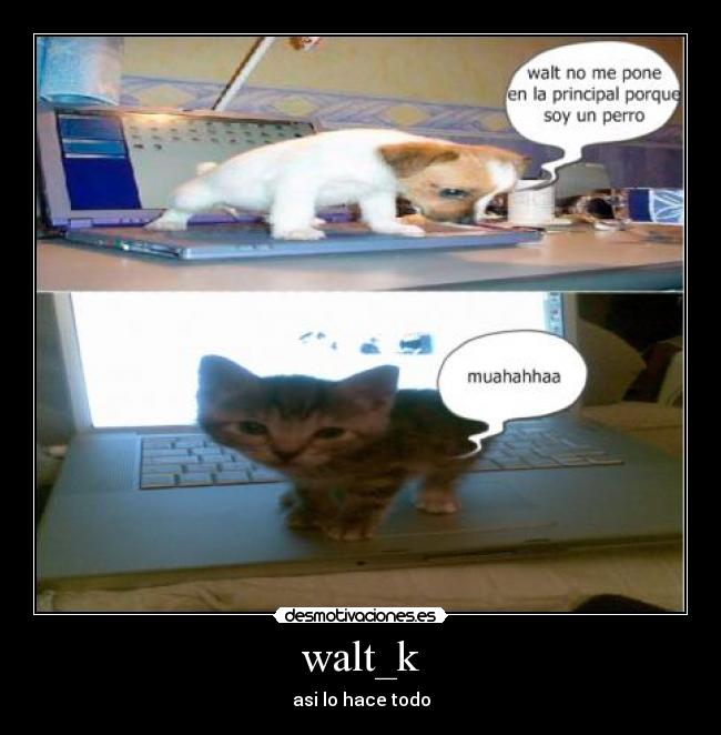 walt_k - asi lo hace todo