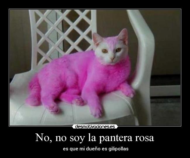 No, no soy la pantera rosa - es que mi dueño es gilipollas