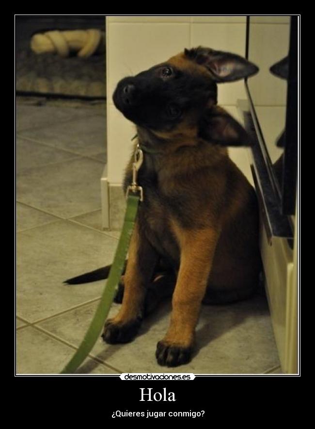 Hola - ¿Quieres jugar conmigo?