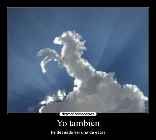 Yo también -