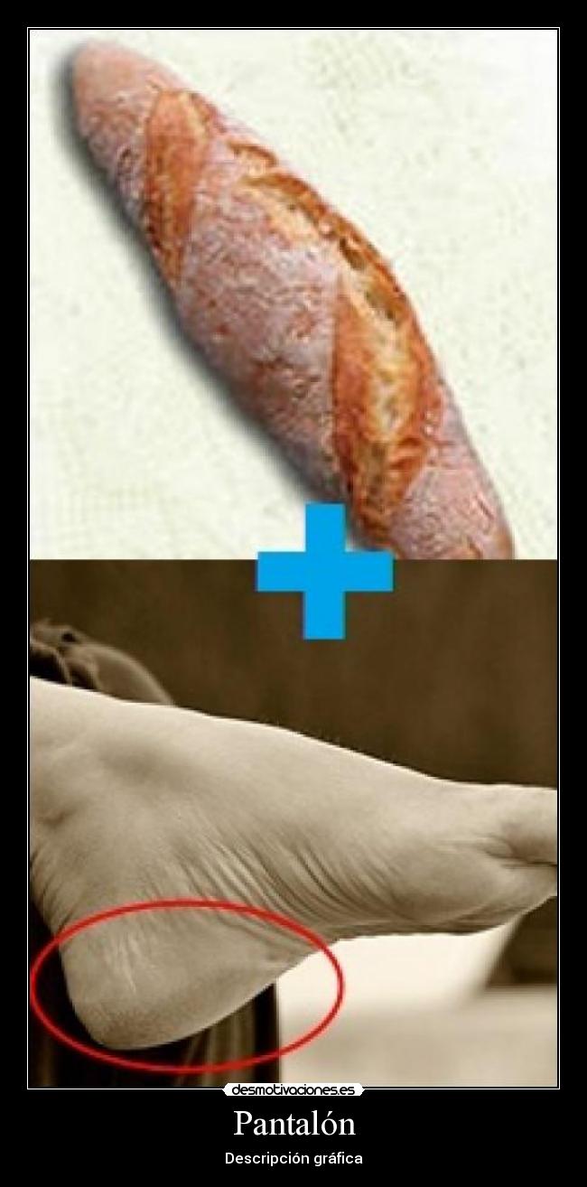 Pantalón - Descripción gráfica