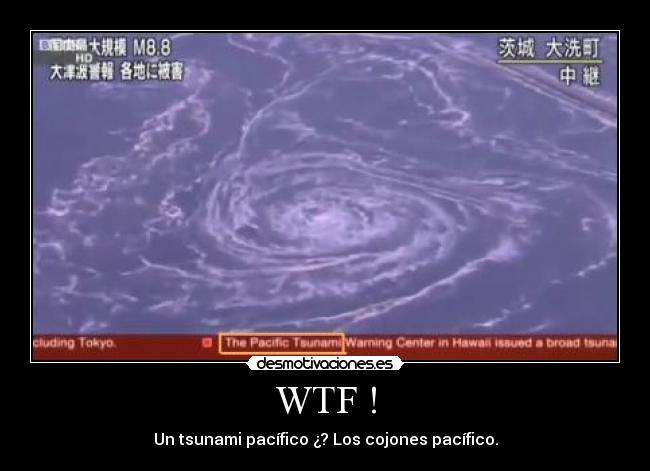 WTF ! - Un tsunami pacífico ¿? Los cojones pacífico.