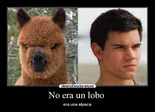 No era un lobo -
