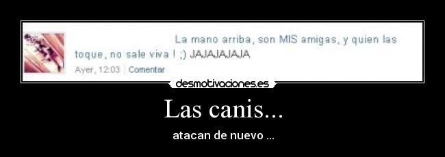 Las canis... - atacan de nuevo ...