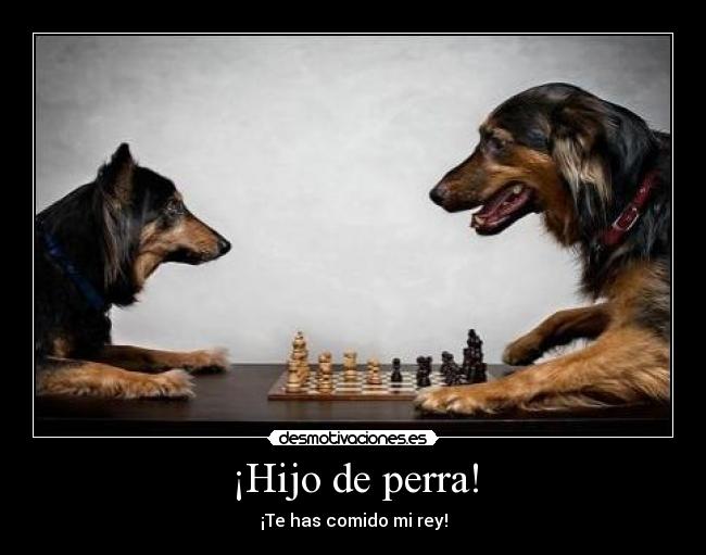 ¡Hijo de perra! - ¡Te has comido mi rey!