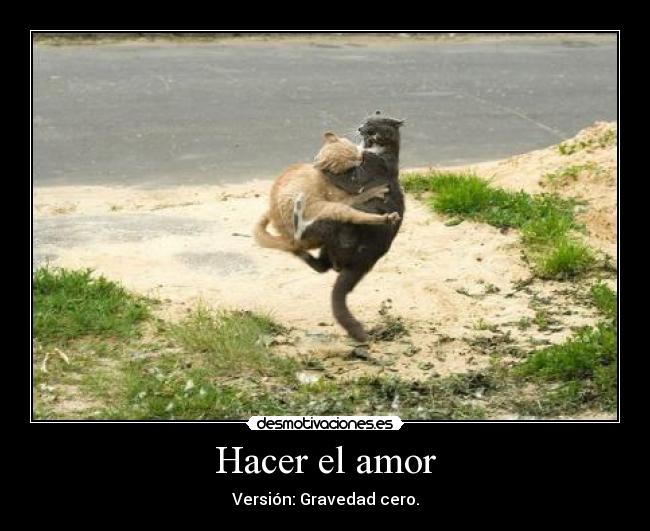 Hacer el amor - Versión: Gravedad cero.