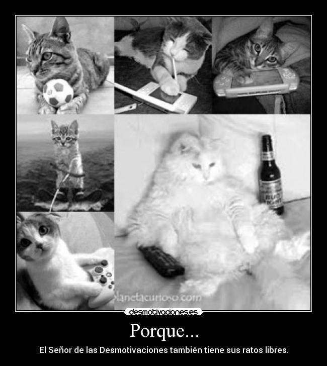 Porque... - 