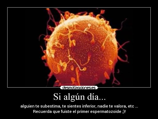 Si algún día... - alguien te subestima, te sientes inferior, nadie te valora, etc ...
Recuerda que fuiste el primer espermatozoide ;)!