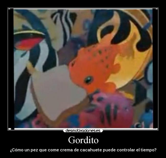 Gordito -