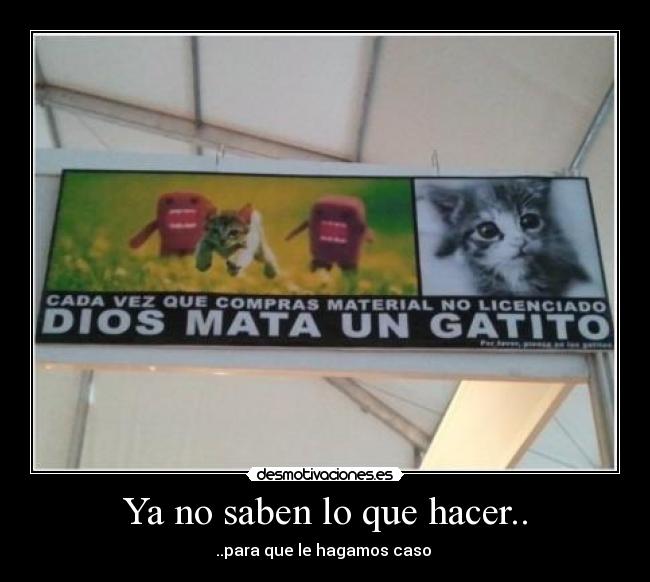 Ya no saben lo que hacer.. -