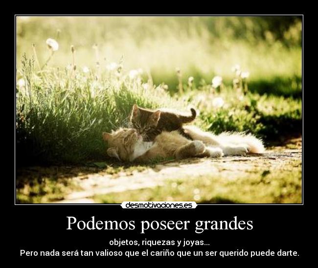 Podemos poseer grandes -