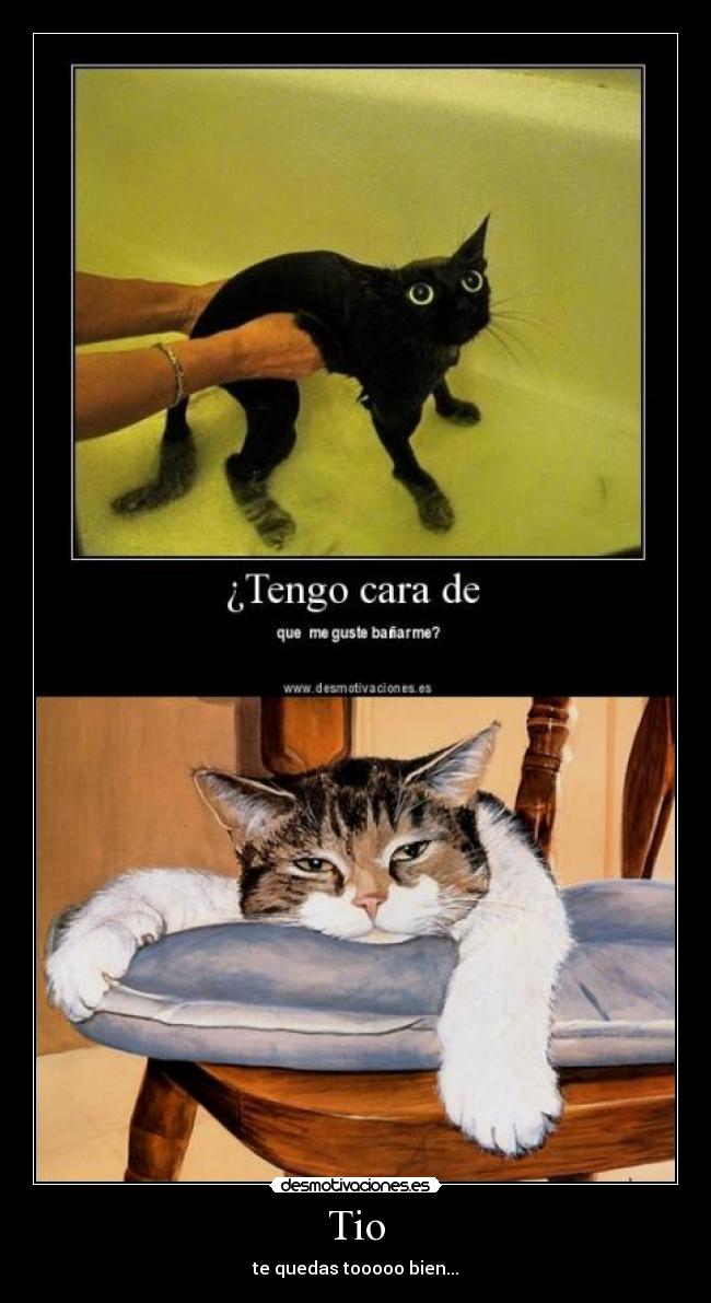 Tio - te quedas tooooo bien...